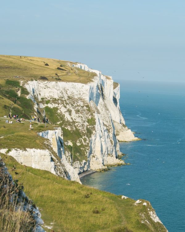 Dover Cliffs COMING SOON