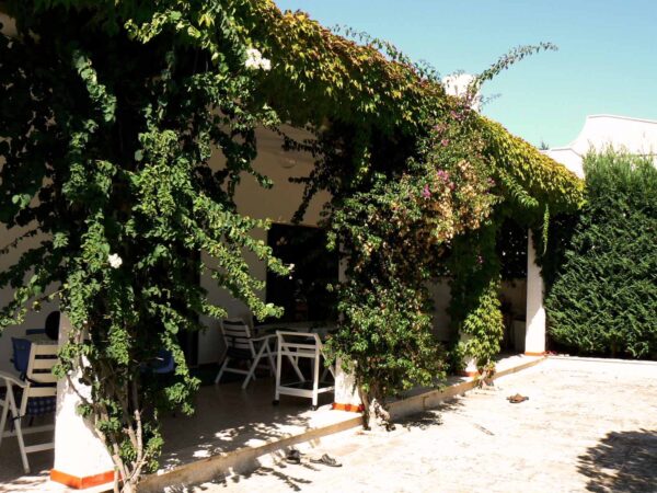 Acting and Showreel Retreat in Puglia, ITALY  9th -16th September 2024 - Image 10